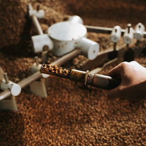 roasted coffee being viewed