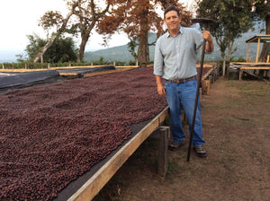 coffee farmer in El Salvador with single origin coffee