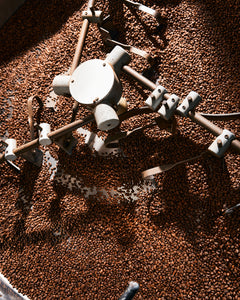 Altura Coffee coffee bean roasting