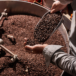 Altura Coffee - roasted coffee being poured into a hand