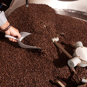 Altura Coffee - roasted coffee being poured into a hand