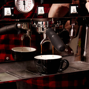 Altura coffee domestic espresso machine